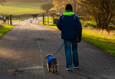 Processed-IMGP043746