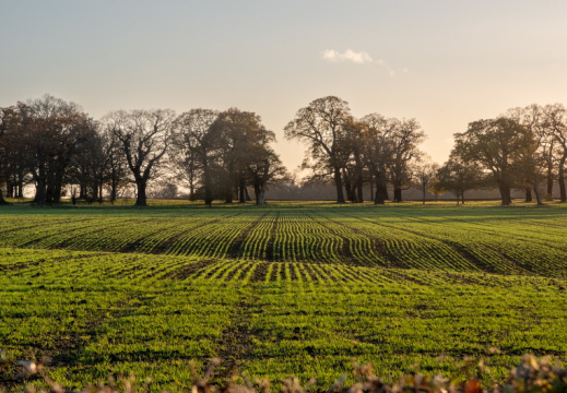 Processed-IMGP044147