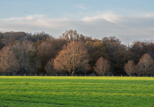 Processed-IMGP044248