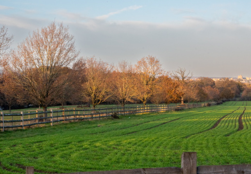 Processed-IMGP044349