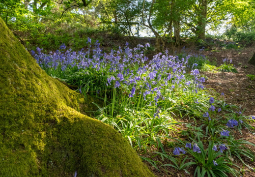 Processed-IMGP336910