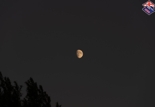 Processed-IMGP434616