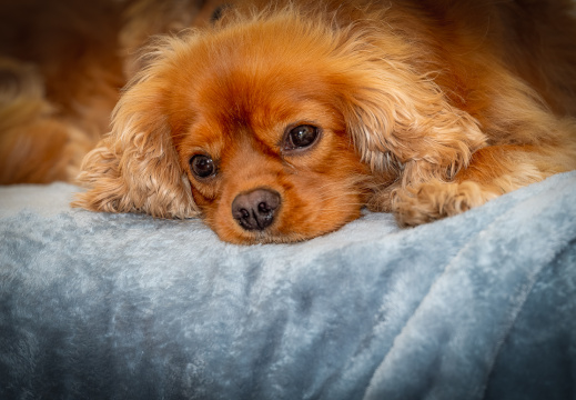 Processed-IMGP6304-Edit3