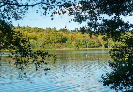 Processed-IMGP633711