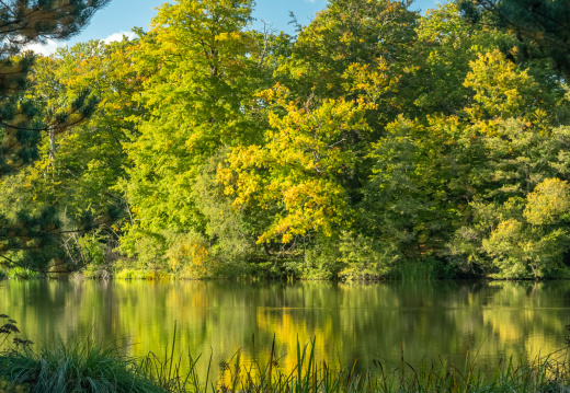 Processed-IMGP634615