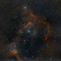 Sharpless 2-199 (Soul Nebula) - internet