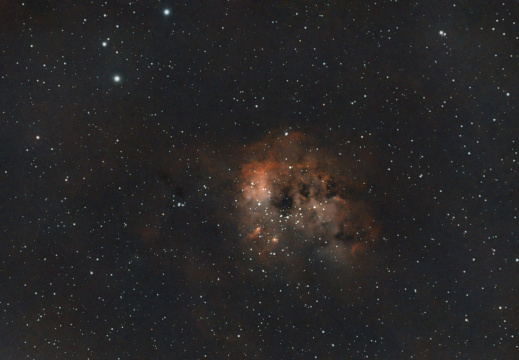 IC410 - Tadpoles