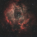 Rosette Nebula (square)
