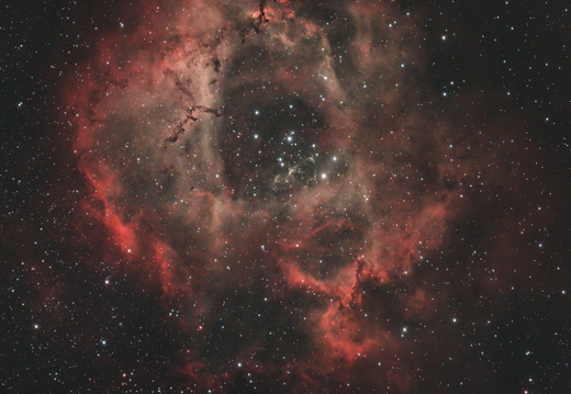Rosette Nebula (square)
