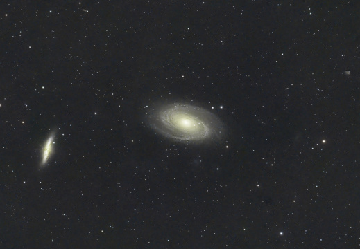 M81