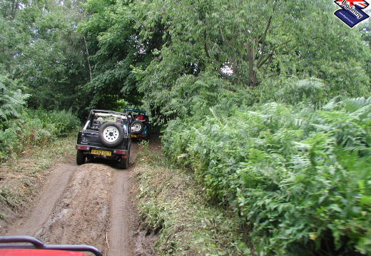 Processed-P101007674