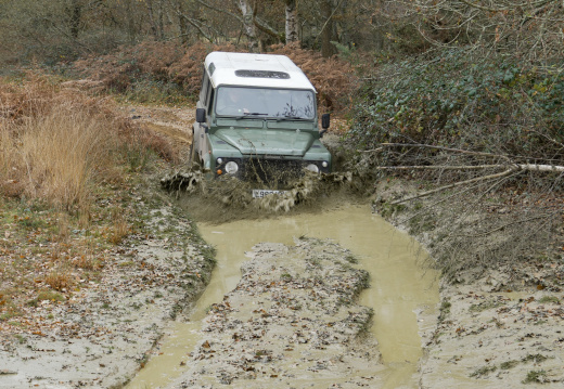 BigJimny-33